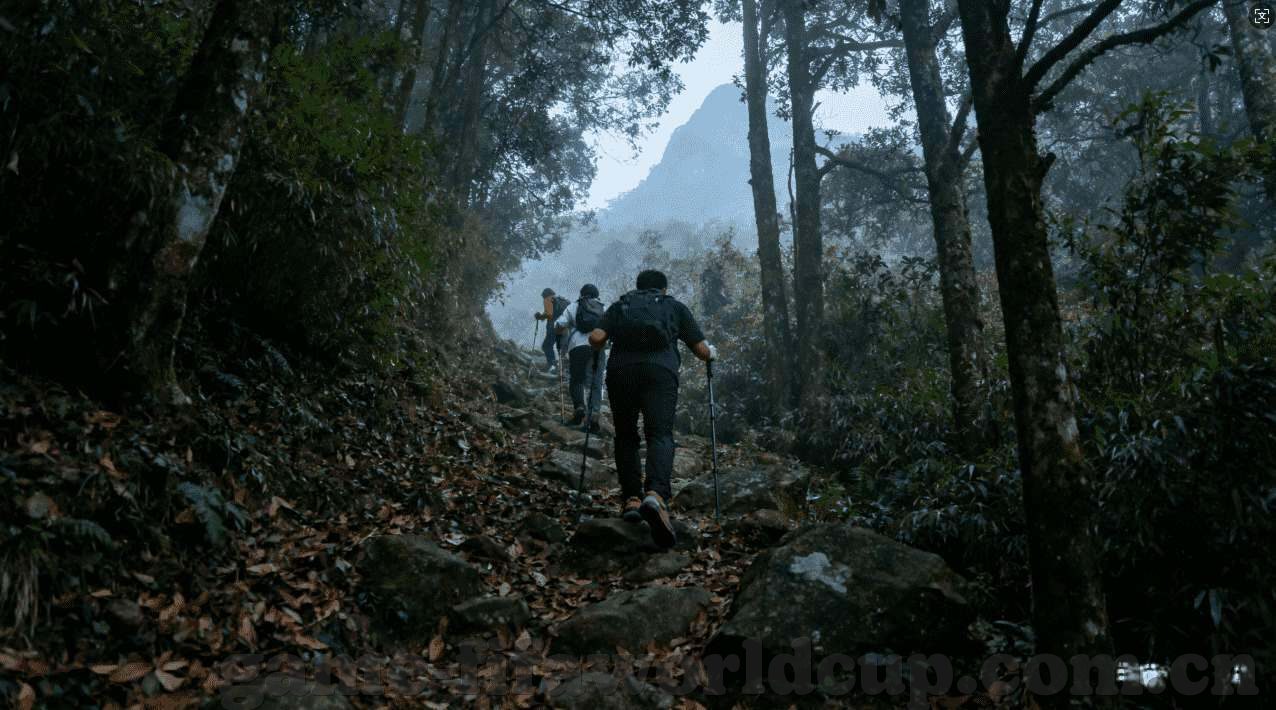 世界杯压法国赢-世界杯压法国赢，一场激情与期待的盛宴